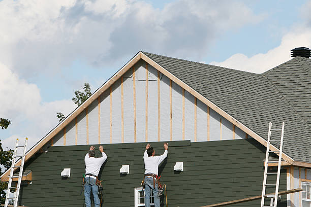 Professional Siding Repair technician working in Brodnax, VA