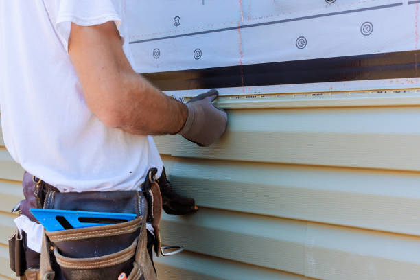 Affordable Siding Repair solutions in Brodnax, VA